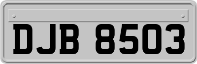 DJB8503