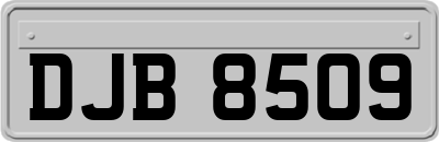 DJB8509