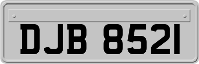 DJB8521