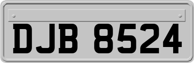 DJB8524
