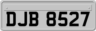 DJB8527