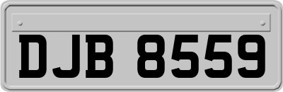 DJB8559
