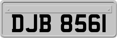 DJB8561