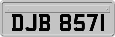 DJB8571