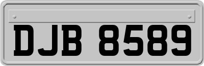 DJB8589