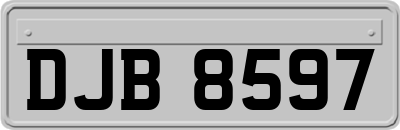 DJB8597