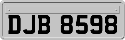 DJB8598