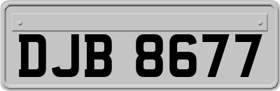 DJB8677