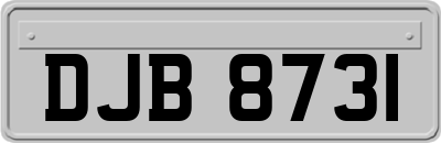 DJB8731