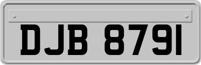 DJB8791