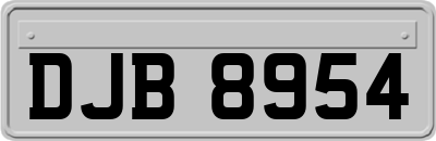 DJB8954