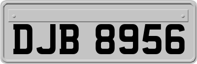 DJB8956