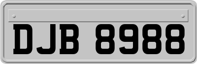 DJB8988