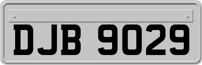 DJB9029