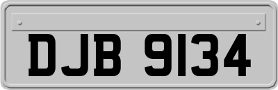 DJB9134