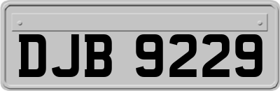 DJB9229