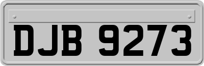 DJB9273