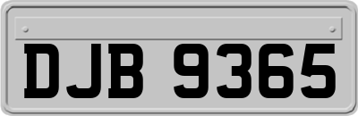DJB9365