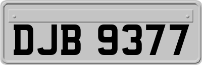 DJB9377