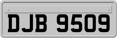 DJB9509