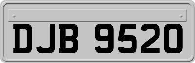 DJB9520