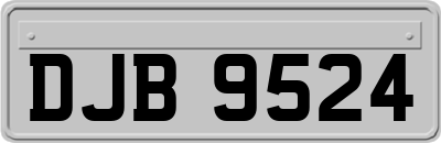 DJB9524