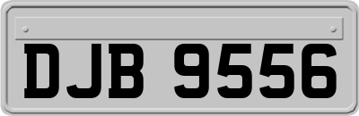 DJB9556