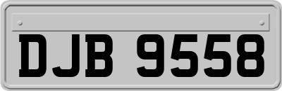 DJB9558