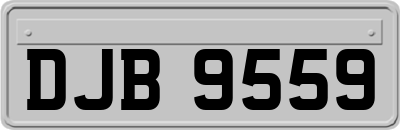 DJB9559