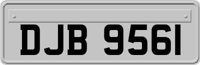 DJB9561