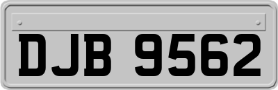 DJB9562