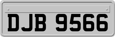 DJB9566