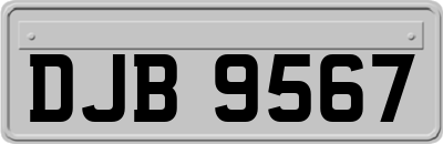 DJB9567