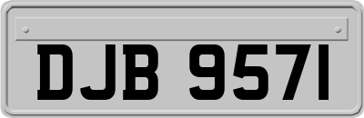 DJB9571