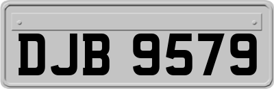 DJB9579