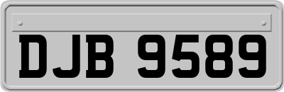DJB9589