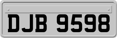 DJB9598