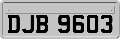 DJB9603
