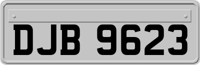DJB9623