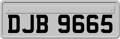 DJB9665