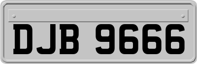 DJB9666