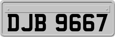DJB9667