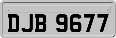DJB9677