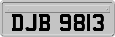 DJB9813