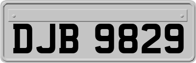 DJB9829