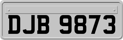 DJB9873