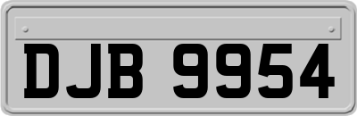 DJB9954