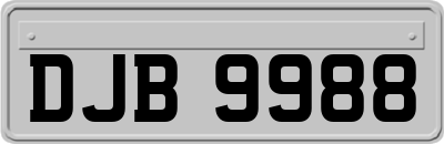 DJB9988