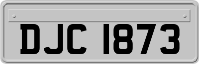 DJC1873