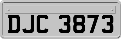 DJC3873